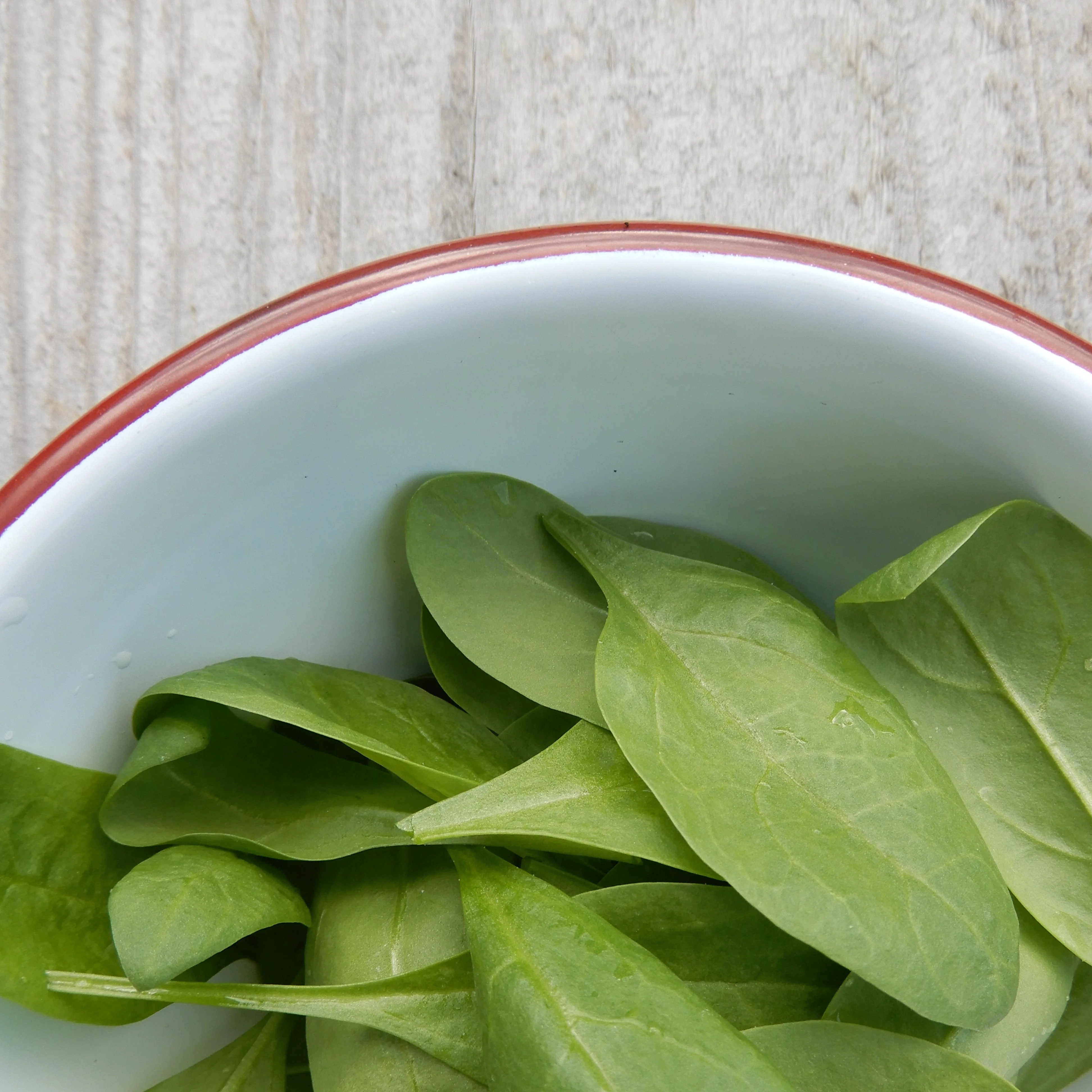 Seeds For Winter Salads & Greens